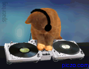 DJ
