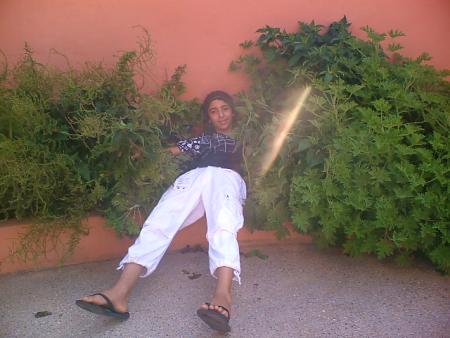 jardain